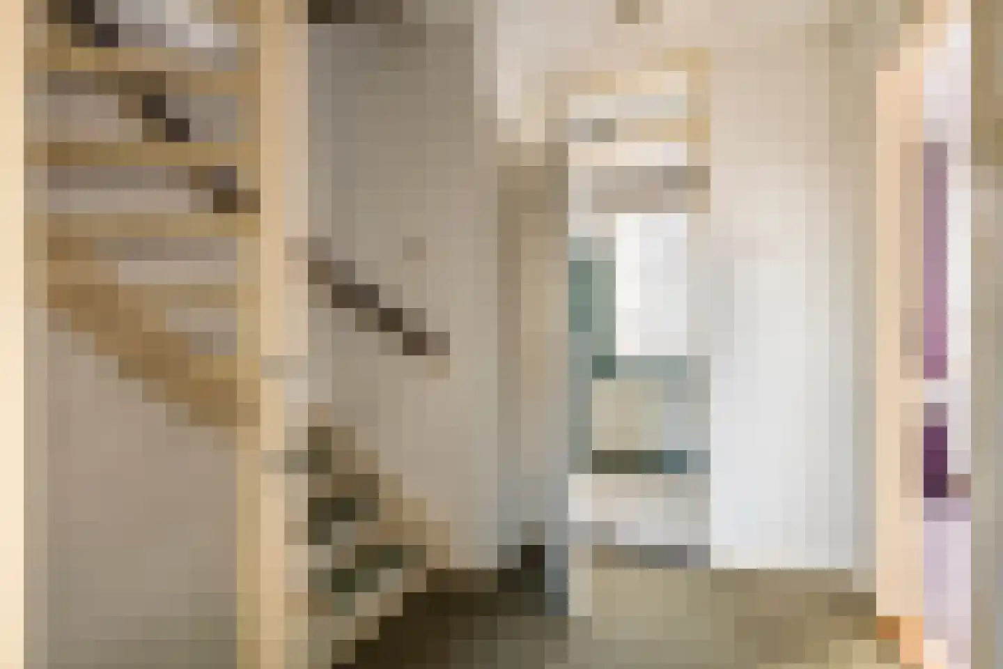 Nieuwstraat 10 Druten thumbnail 19