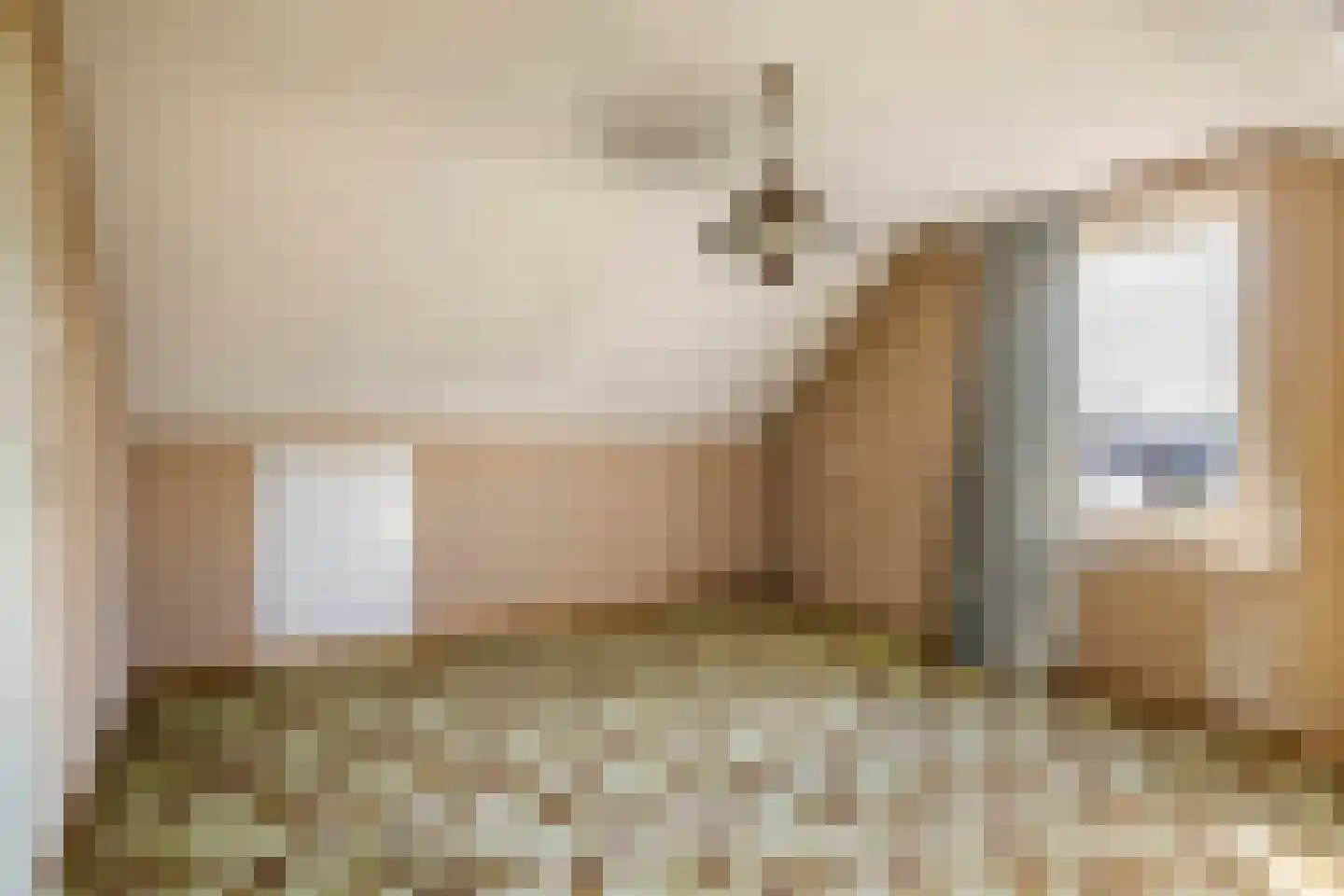 Nieuwstraat 10 Druten thumbnail 23