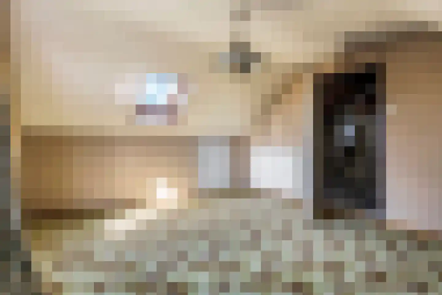 Nieuwstraat 10 Druten thumbnail 24