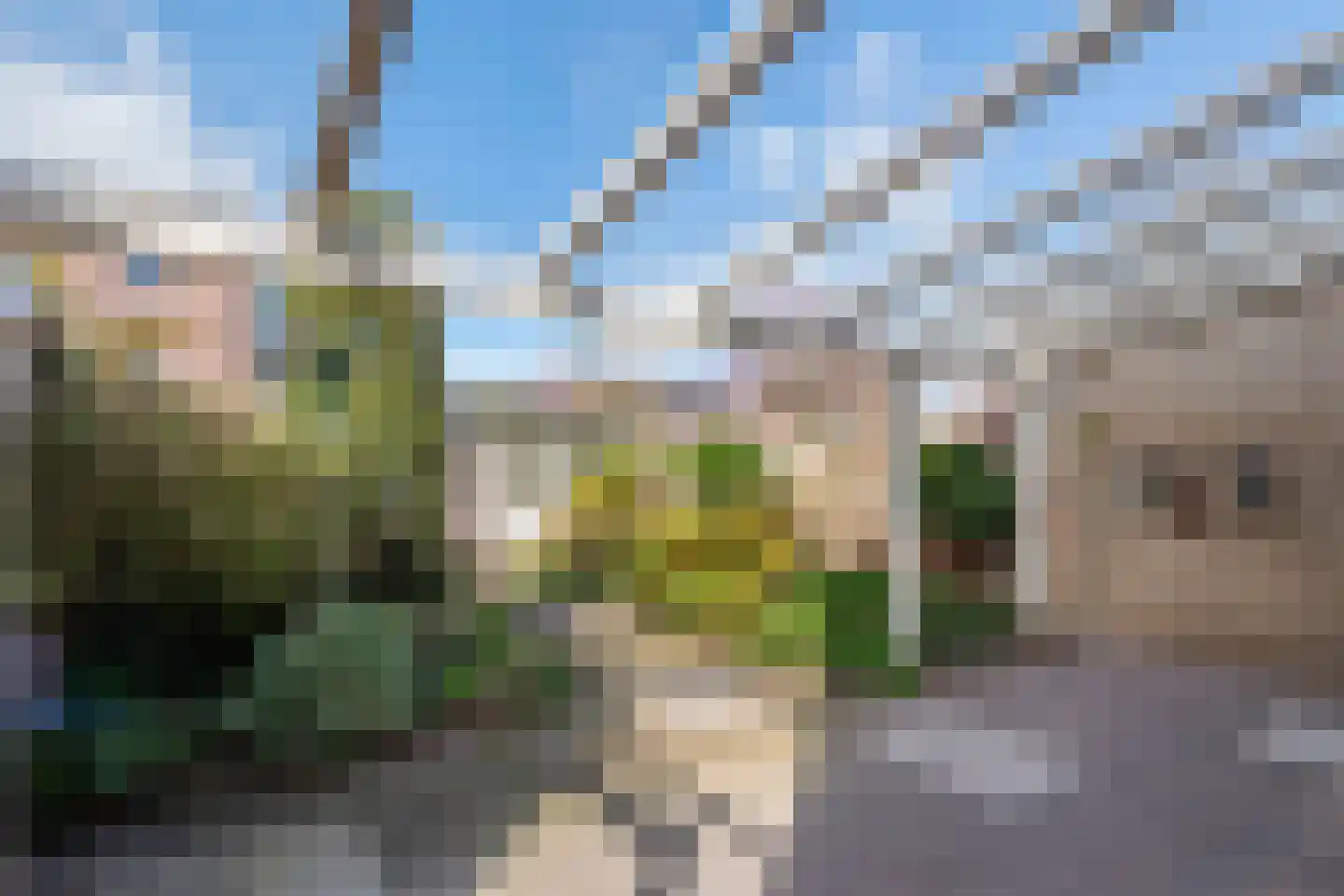 Nieuwstraat 10 Druten thumbnail 26