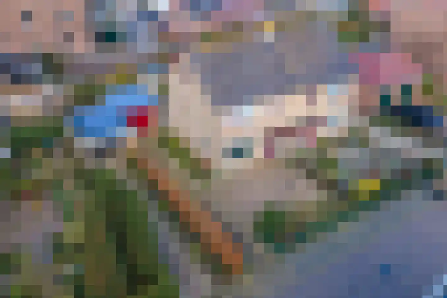 Nieuwstraat 10 Druten thumbnail 33