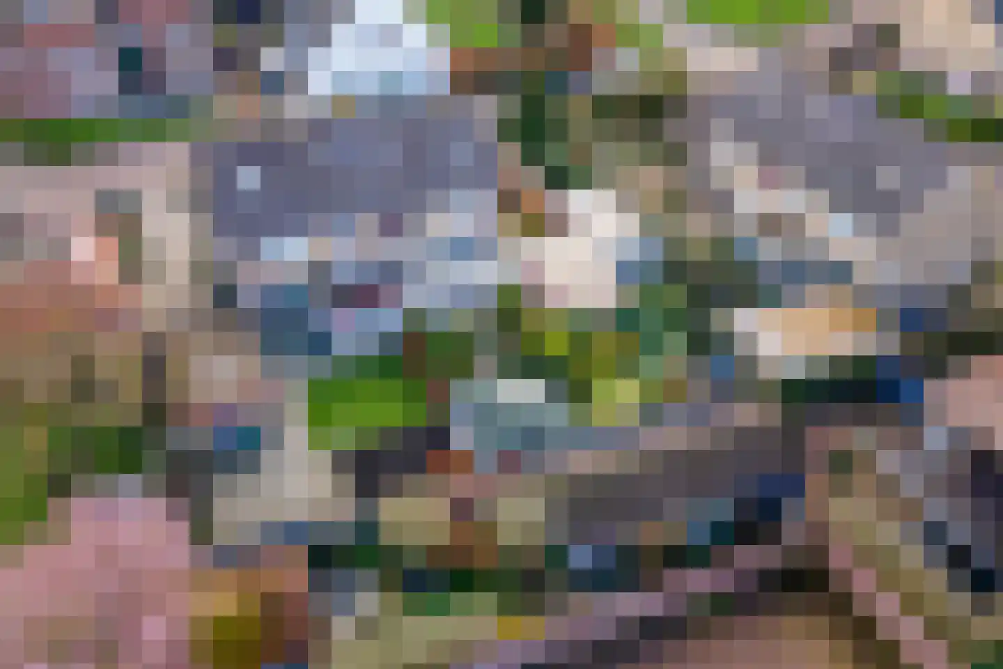 Nieuwstraat 10 Druten thumbnail 34