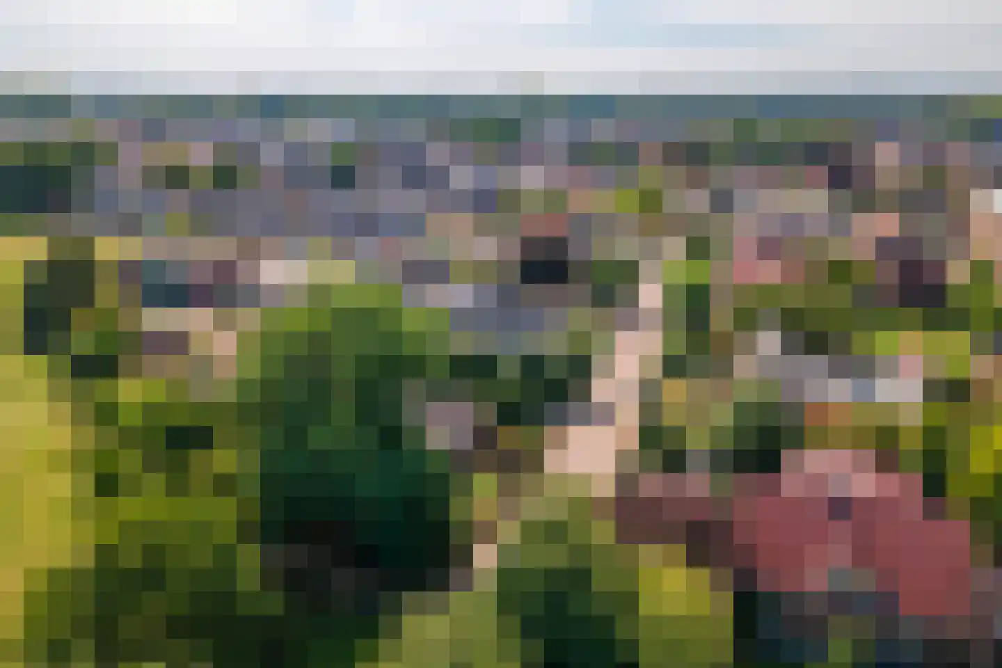 Nieuwstraat 10 Druten thumbnail 36