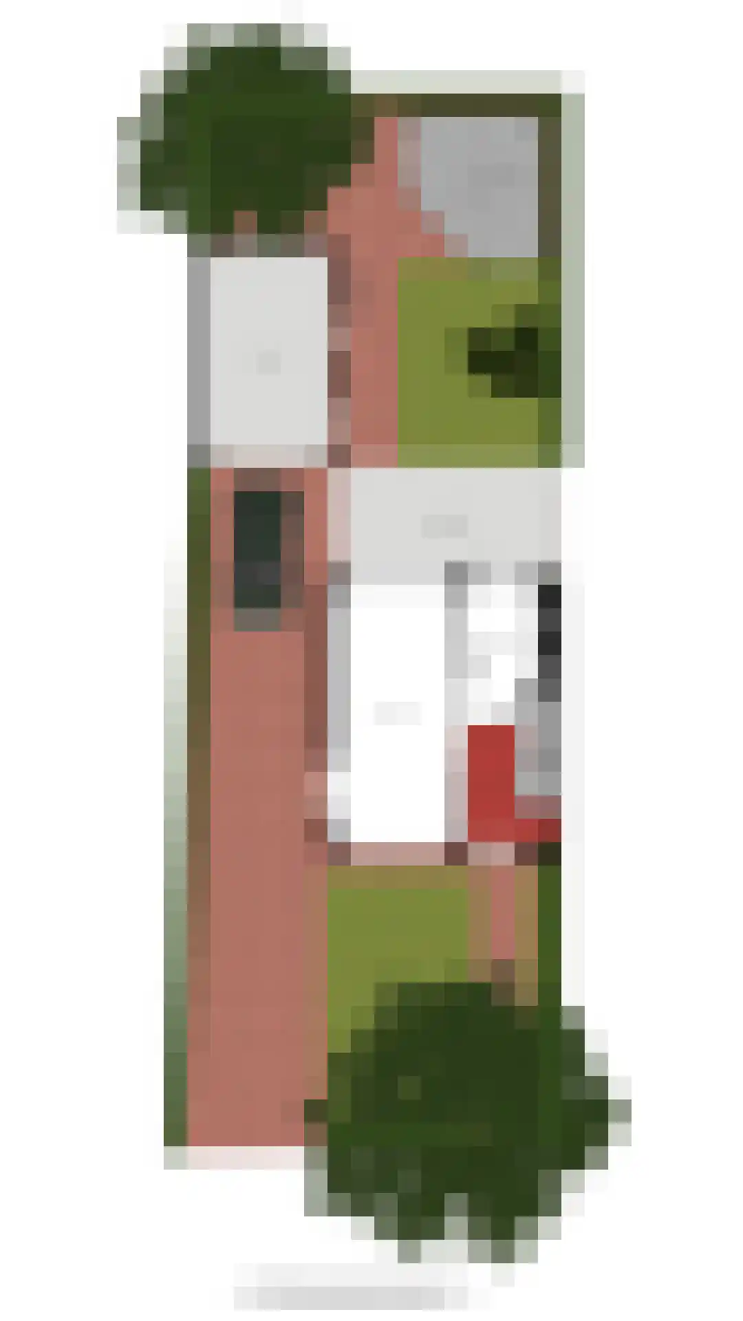 Nieuwstraat 10 Druten thumbnail 40