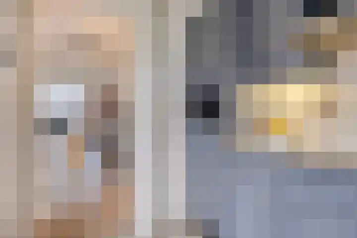 Nieuwstraat 10 Helmond thumbnail 20