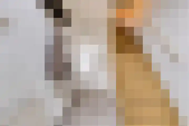 Nieuwstraat 10 Helmond thumbnail 7