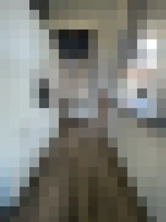 Nieuwstraat 10 Heusden thumbnail 5