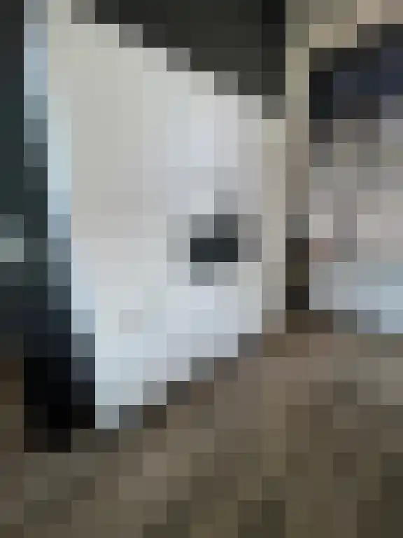 Nieuwstraat 10 Heusden thumbnail 6