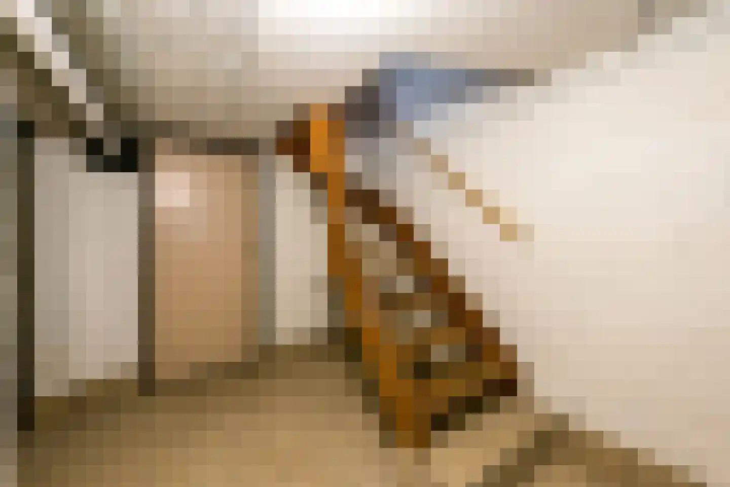 Nieuwstraat 10 Landgraaf thumbnail 36