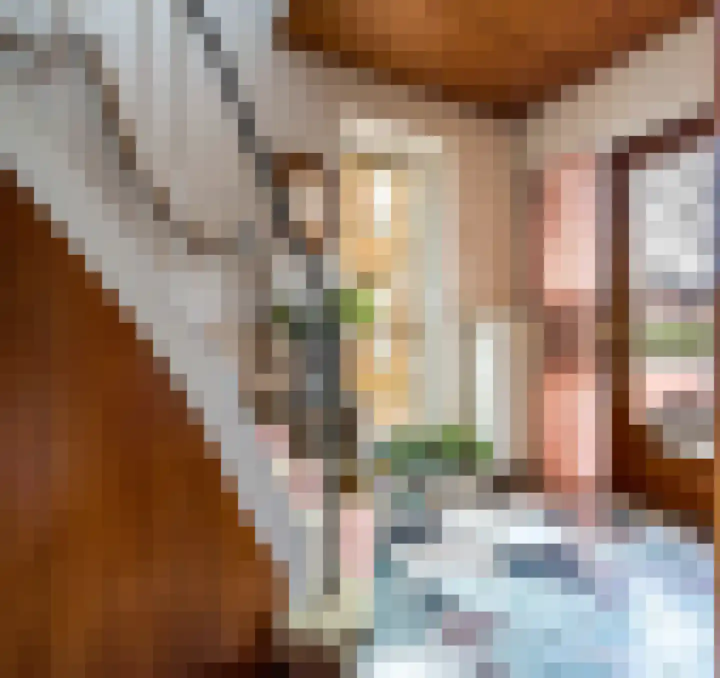 Nieuwstraat 10 Landgraaf thumbnail 7