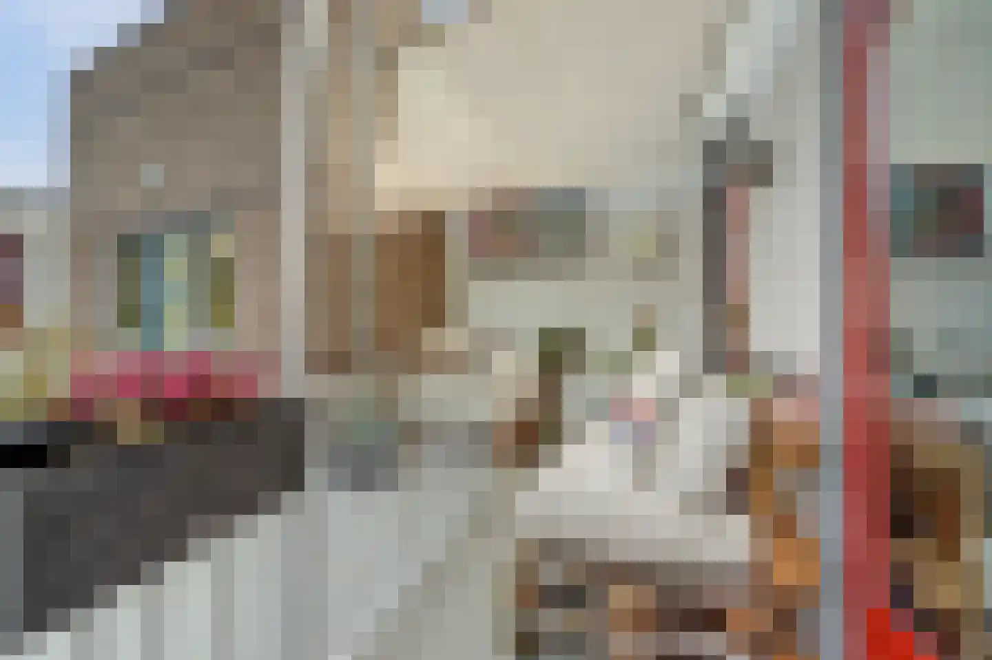 Nieuwstraat 10 Leerdam thumbnail 22