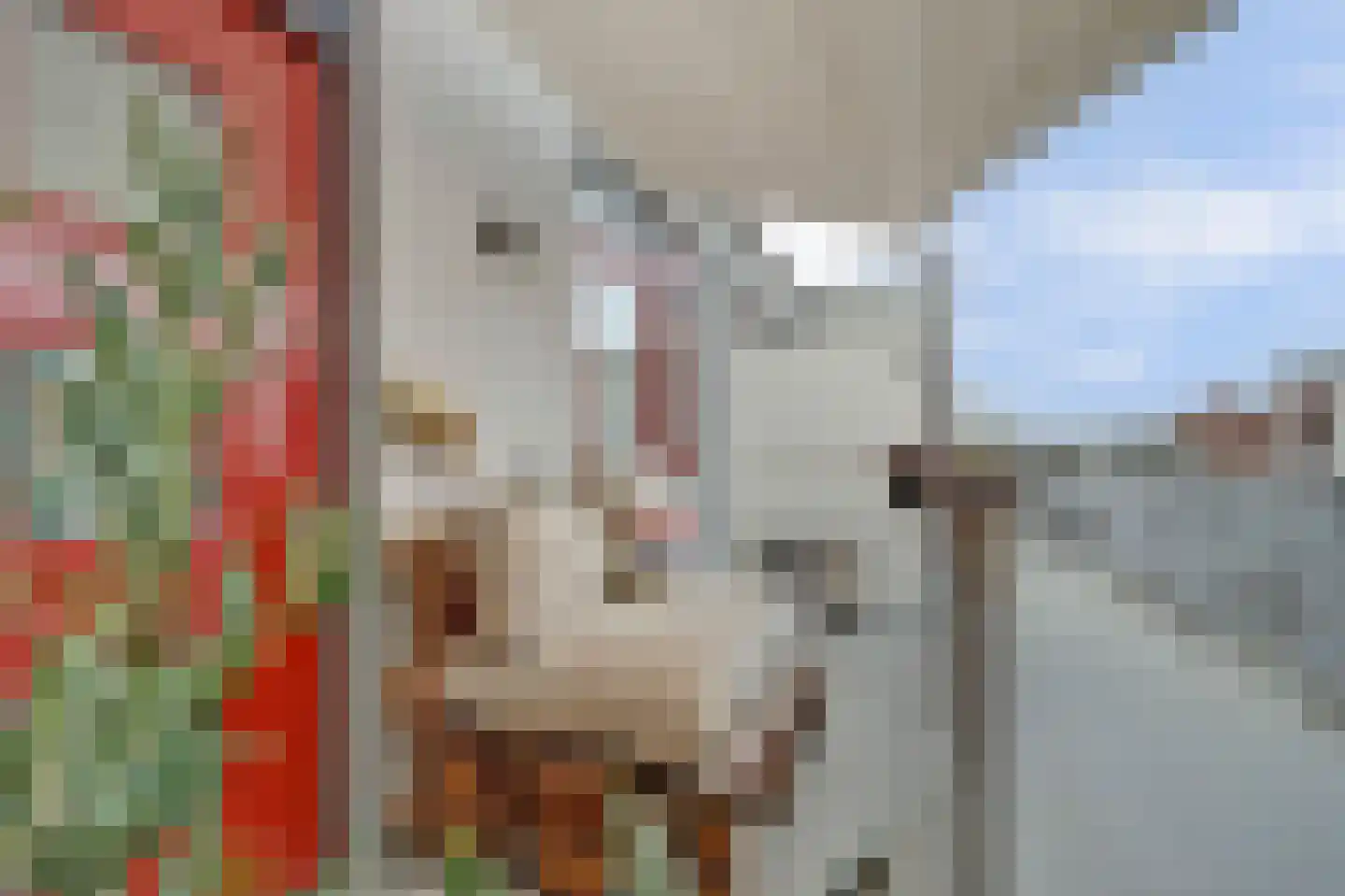Nieuwstraat 10 Leerdam thumbnail 23
