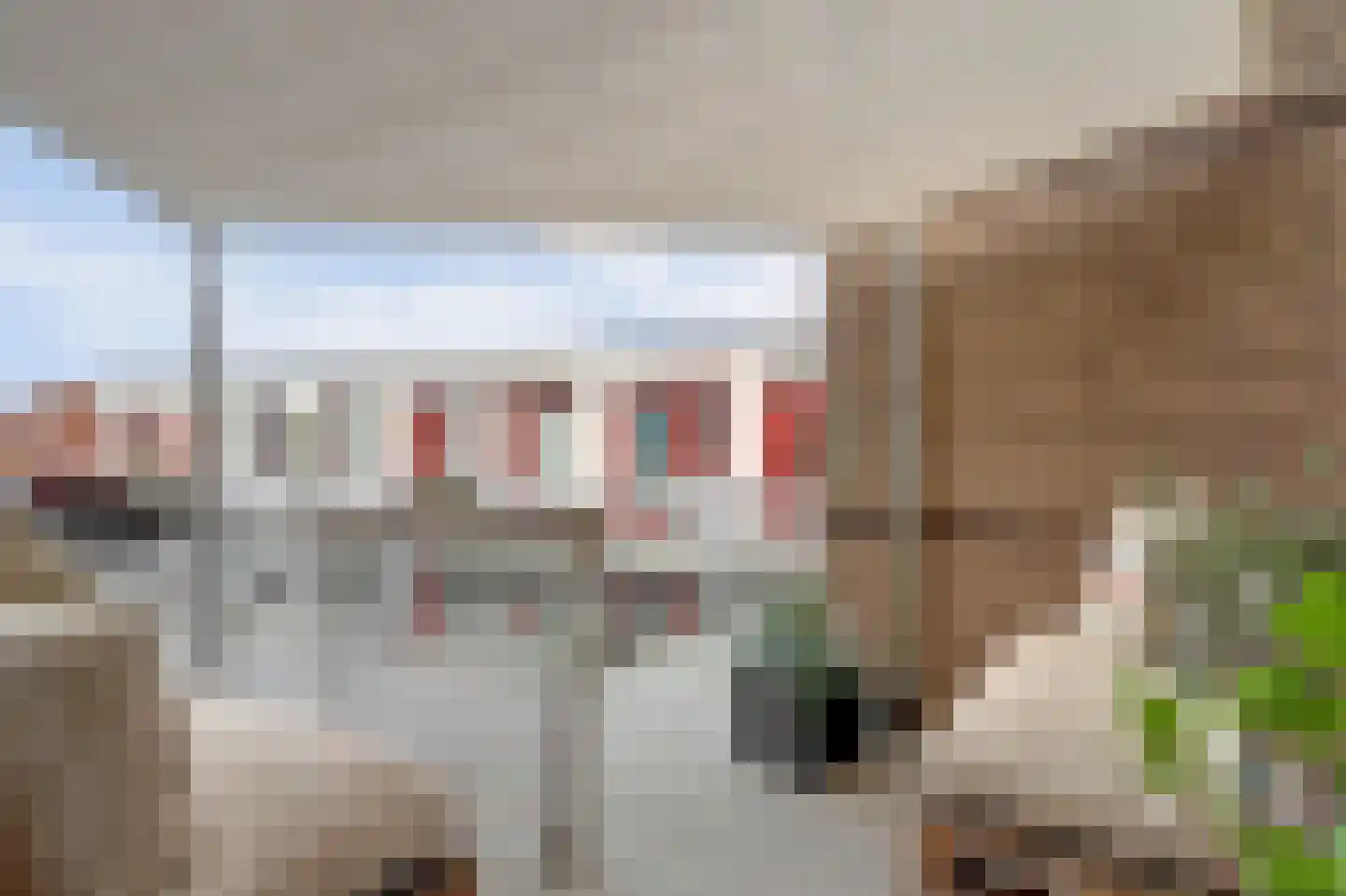 Nieuwstraat 10 Leerdam thumbnail 4