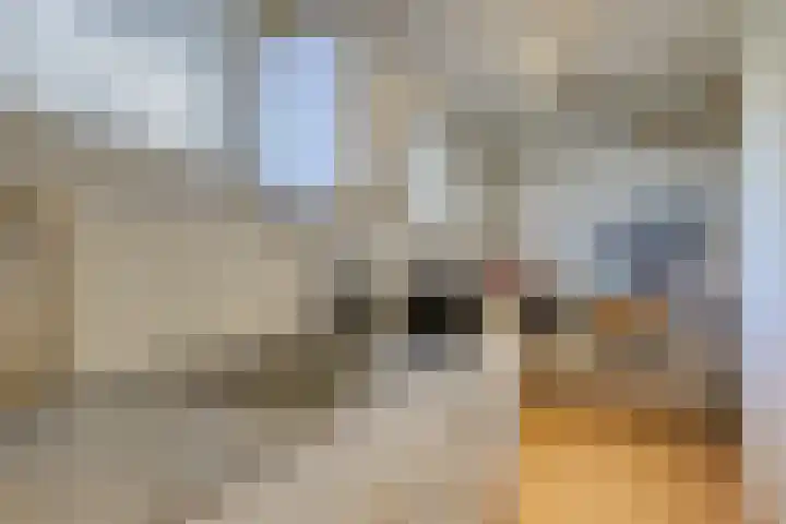 Nieuwstraat 10 Leiden thumbnail 20
