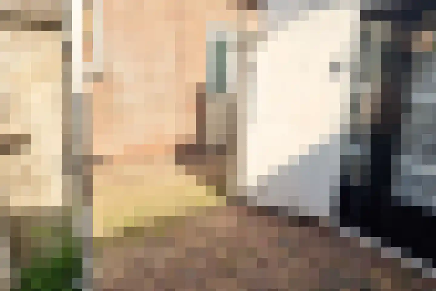 Nieuwstraat 10 Medemblik thumbnail 36