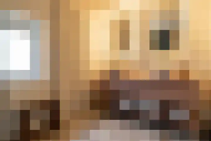 Nieuwstraat 10 Teteringen thumbnail 25