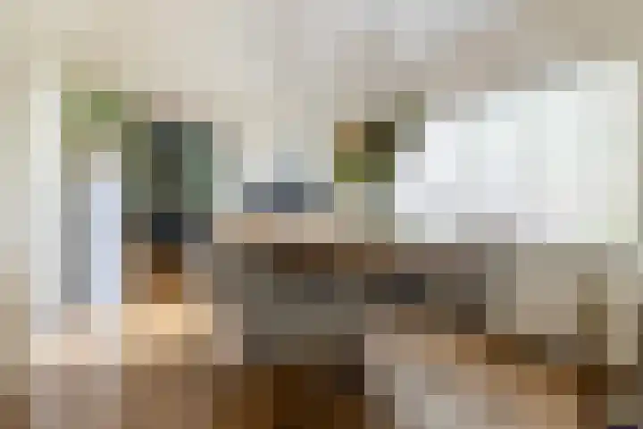 Nieuwstraat 10 Teteringen thumbnail 5