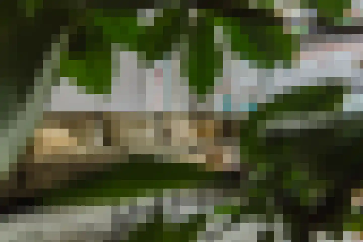 Nieuwstraat 100 Gilze thumbnail 11