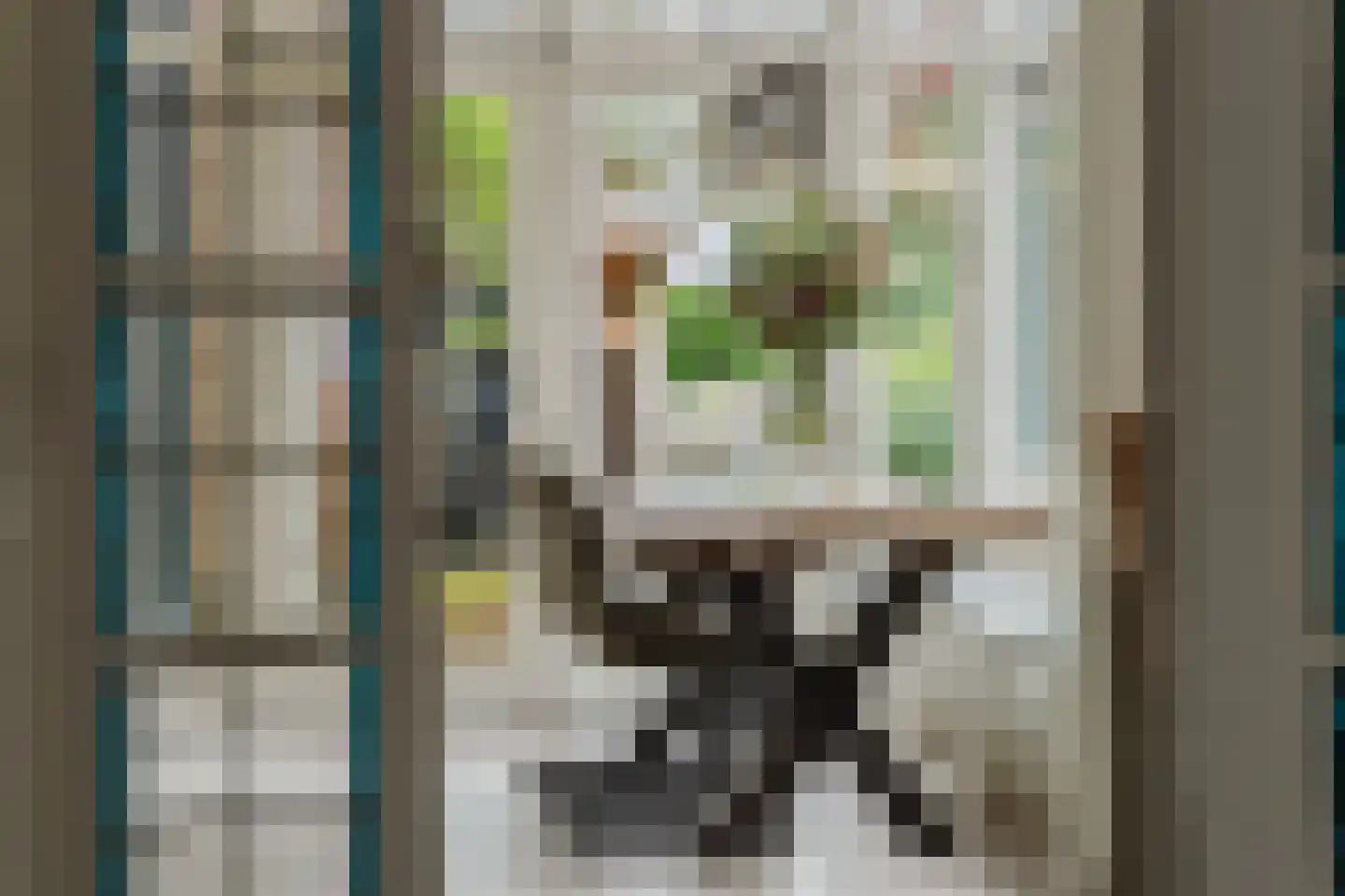 Nieuwstraat 100 Gilze thumbnail 17