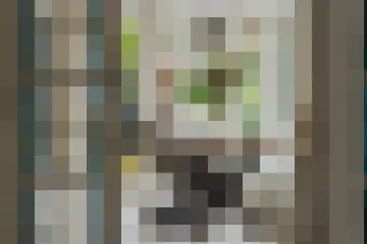 Nieuwstraat 100 Gilze thumbnail 17