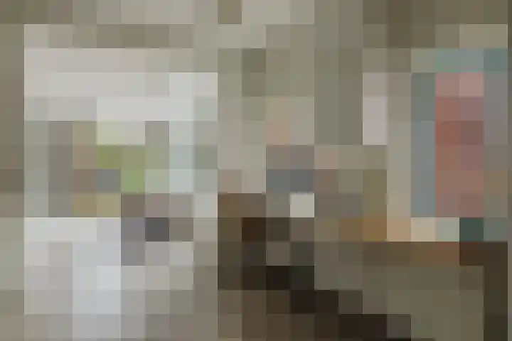 Nieuwstraat 100 Gilze thumbnail 18