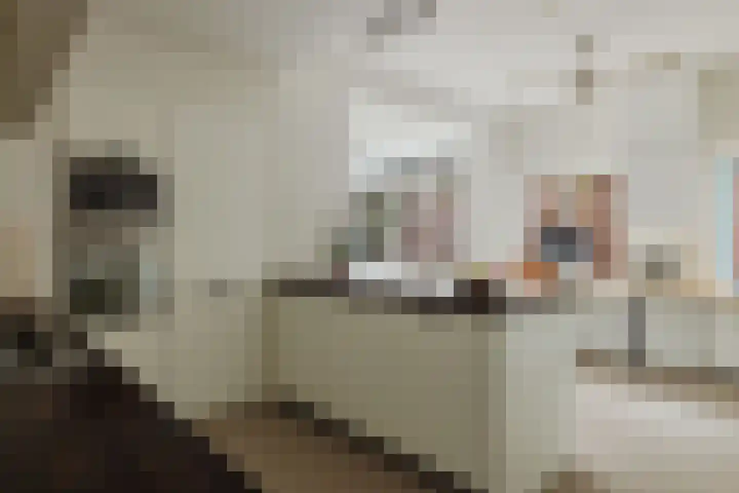 Nieuwstraat 100 Gilze thumbnail 22