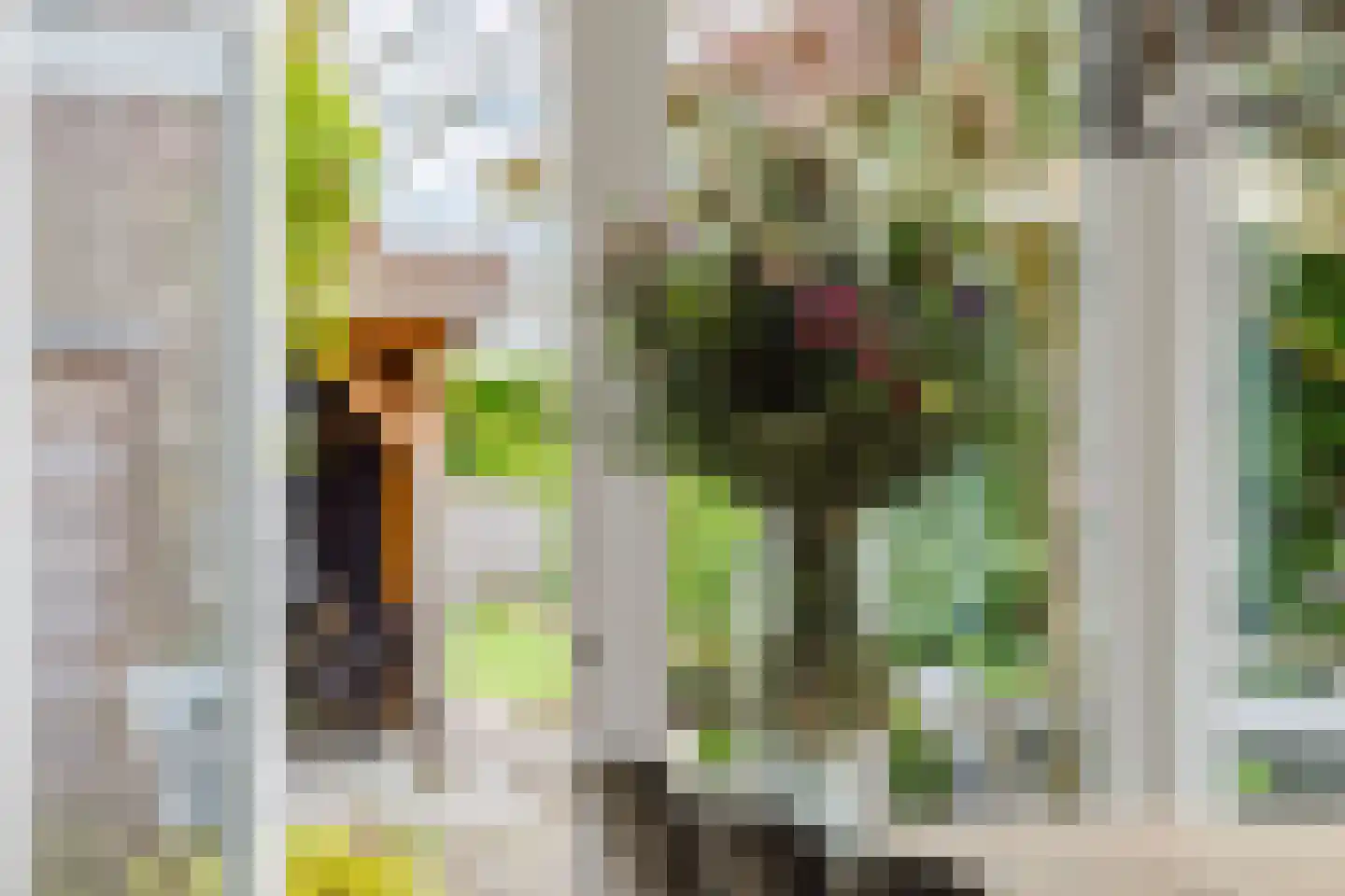 Nieuwstraat 100 Gilze thumbnail 27
