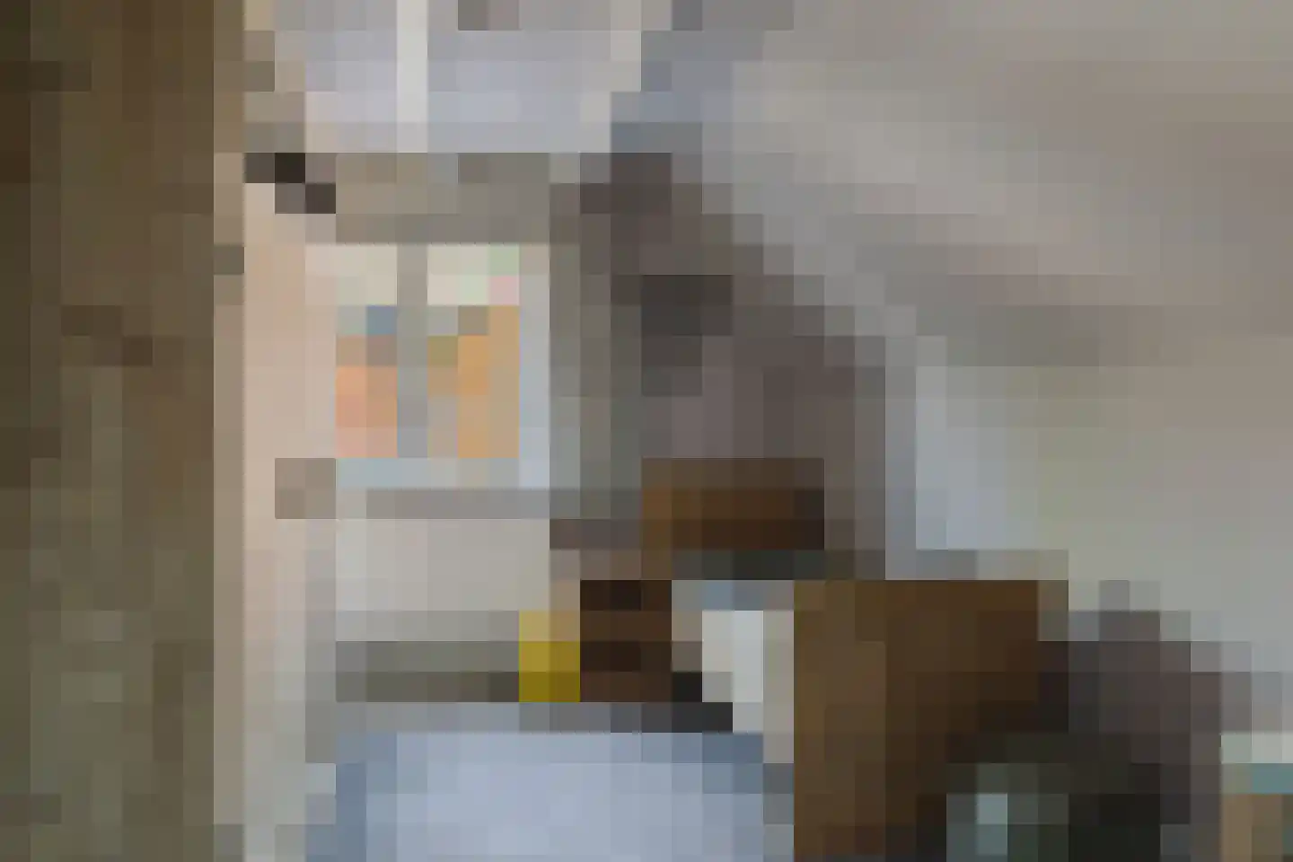 Nieuwstraat 100 Gilze thumbnail 31