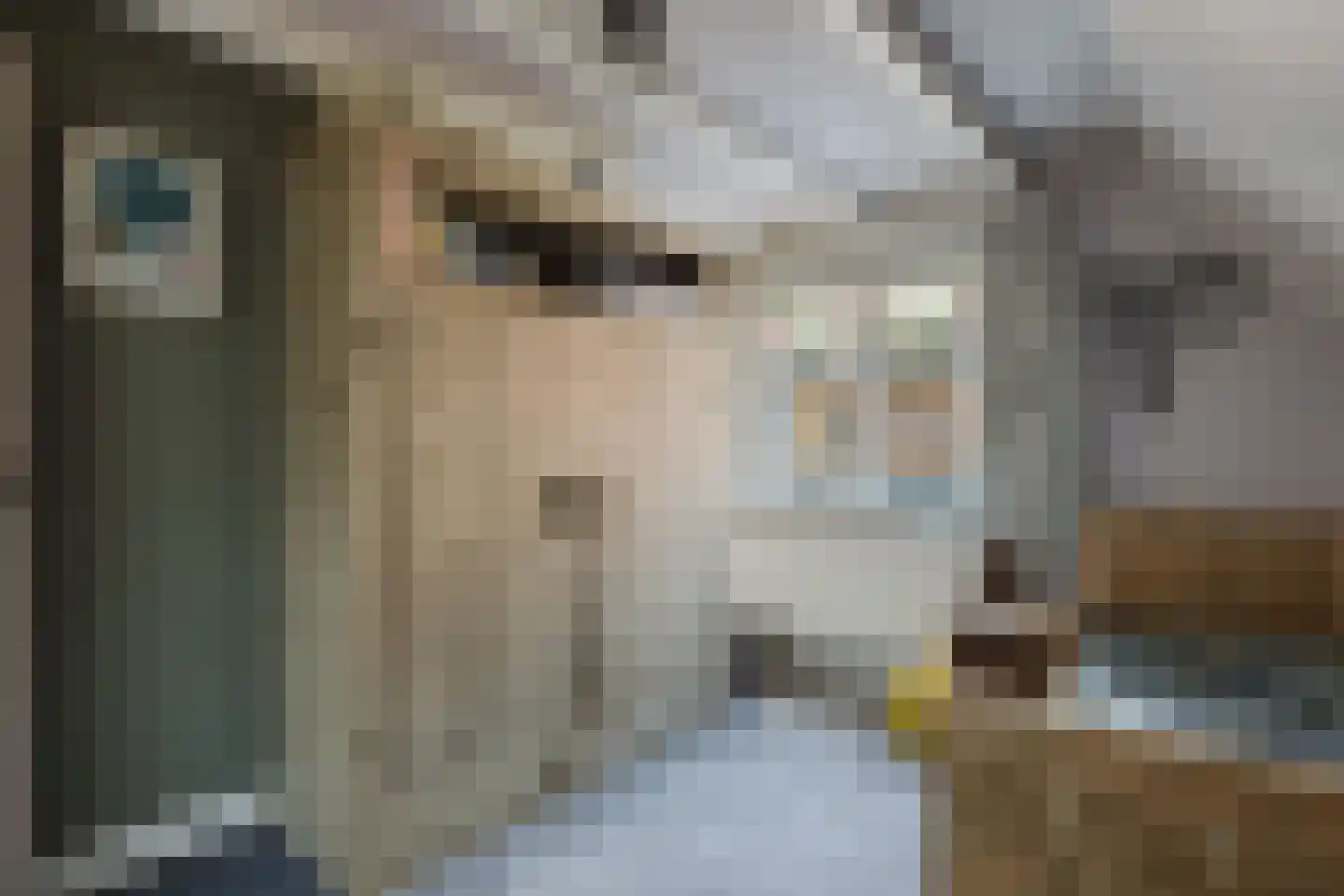 Nieuwstraat 100 Gilze thumbnail 32