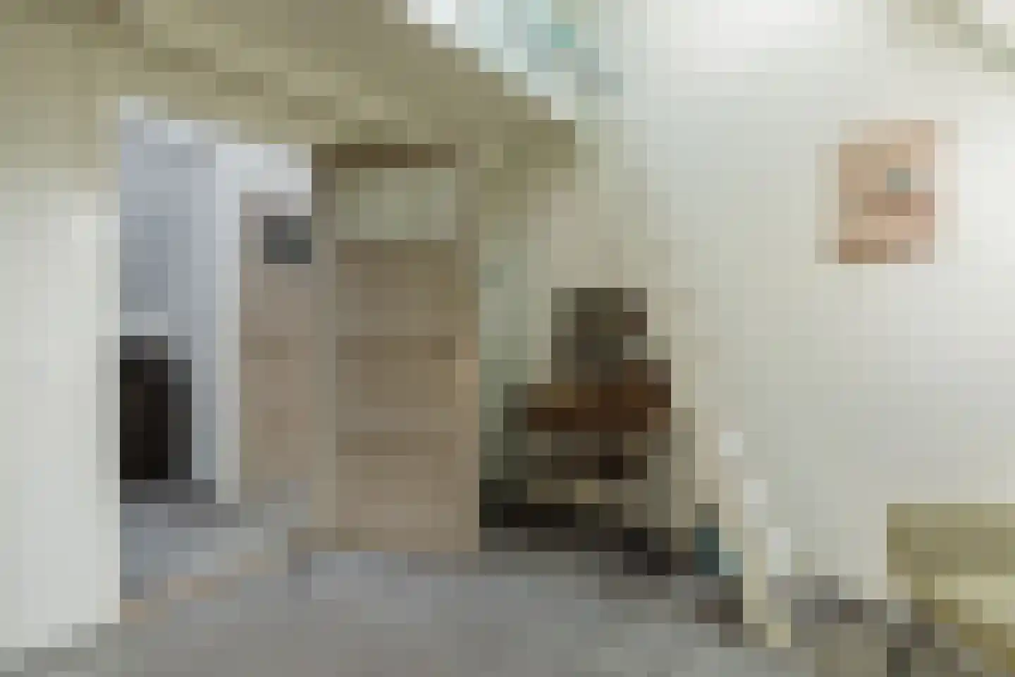 Nieuwstraat 100 Gilze thumbnail 40