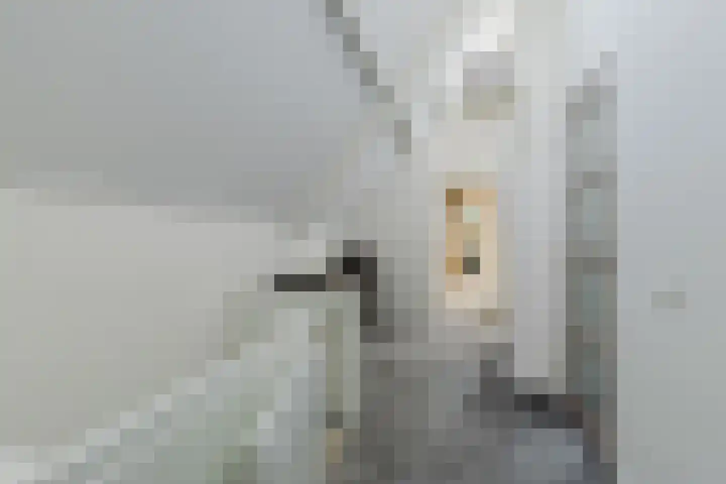 Nieuwstraat 100 Gilze thumbnail 41