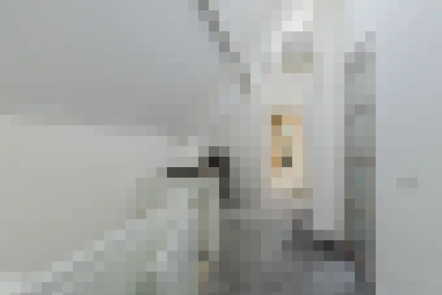 Nieuwstraat 100 Gilze thumbnail 41