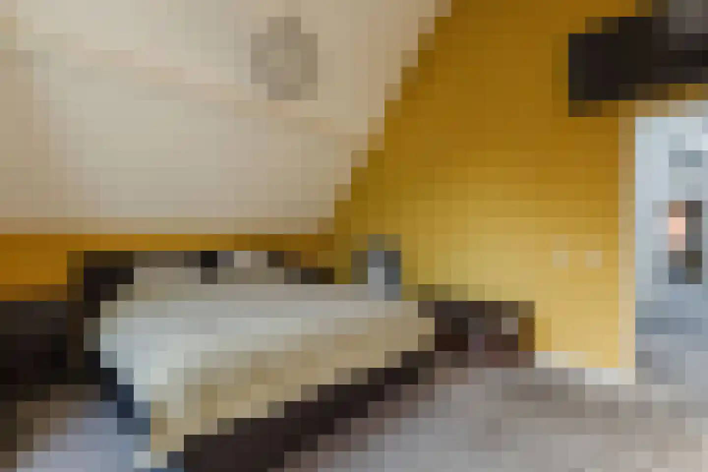 Nieuwstraat 100 Gilze thumbnail 44