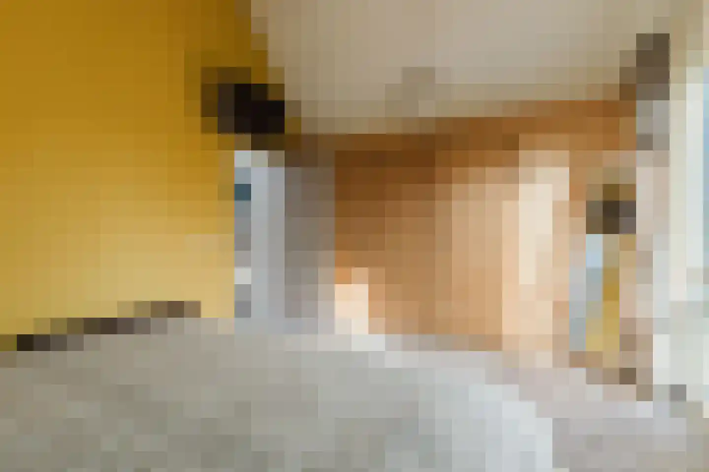 Nieuwstraat 100 Gilze thumbnail 45