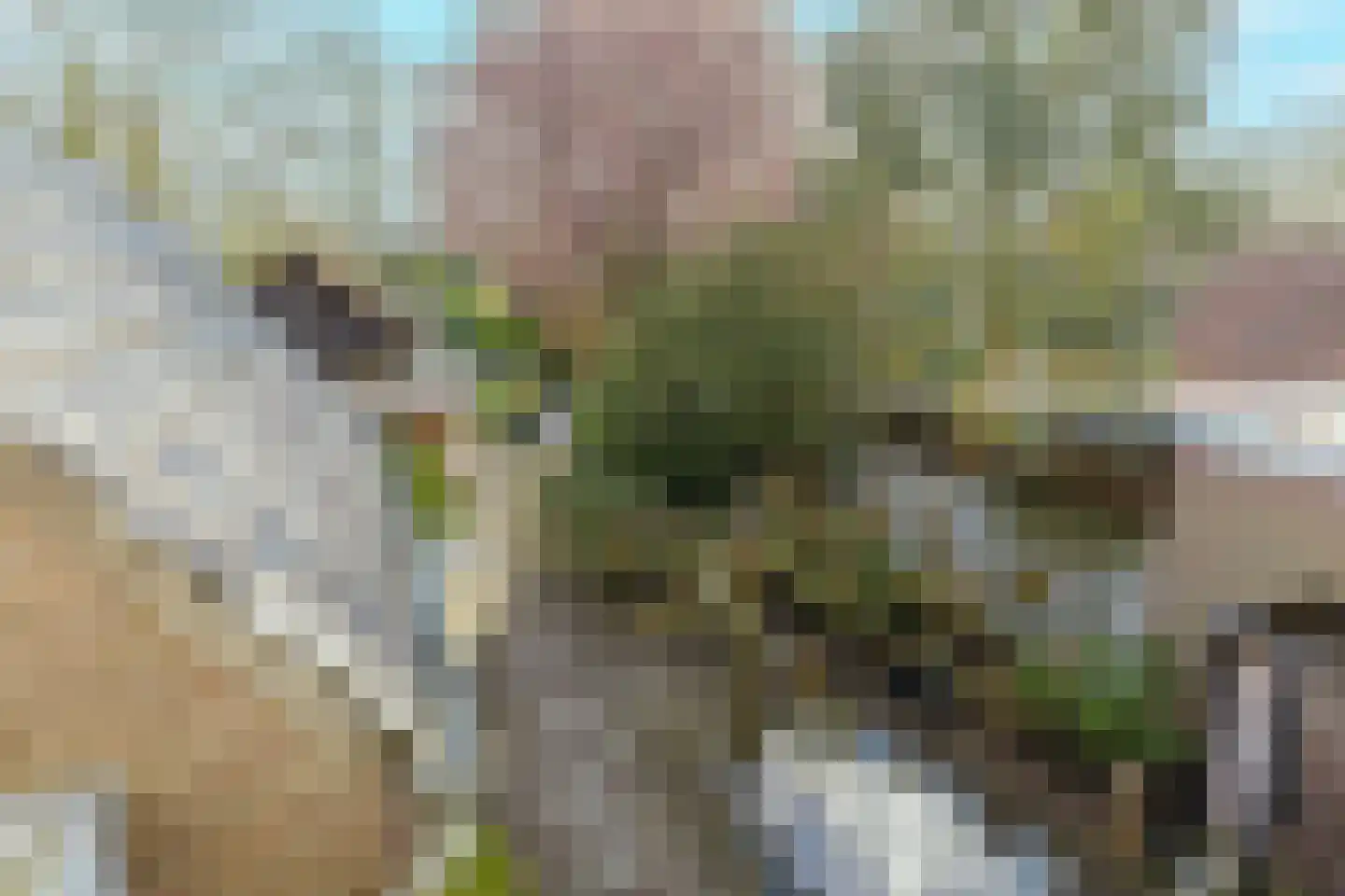 Nieuwstraat 100 Gilze thumbnail 51