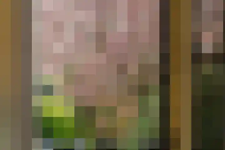 Nieuwstraat 100 Gilze thumbnail 52