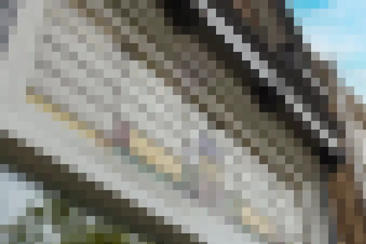 Nieuwstraat 100 Gilze thumbnail 7