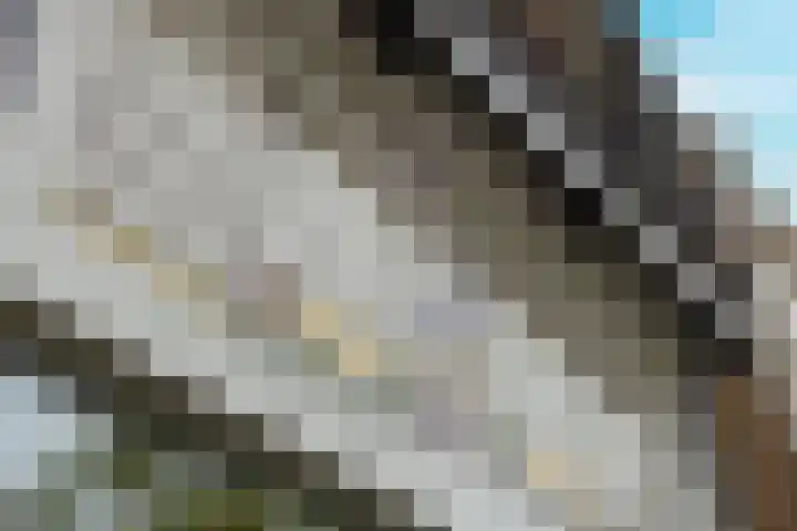 Nieuwstraat 100 Gilze thumbnail 7