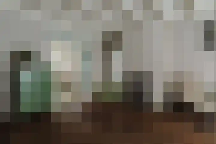 Nieuwstraat 100 Gilze thumbnail 9