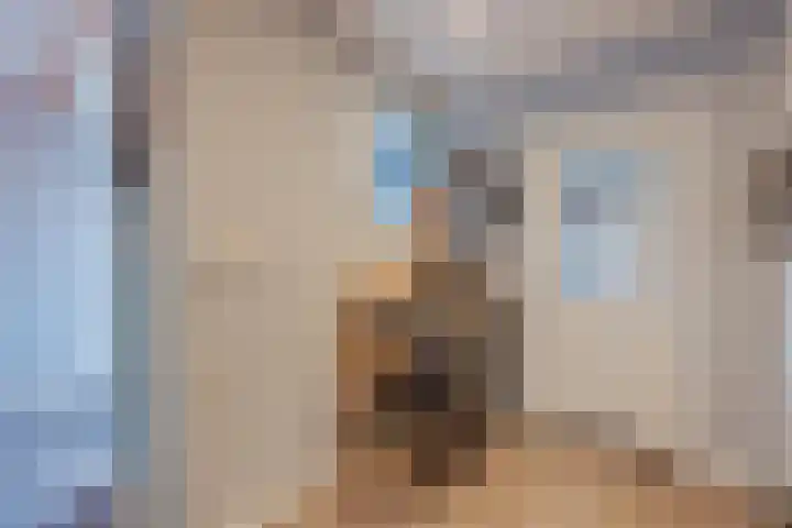 Nieuwstraat 100 Horst thumbnail 20