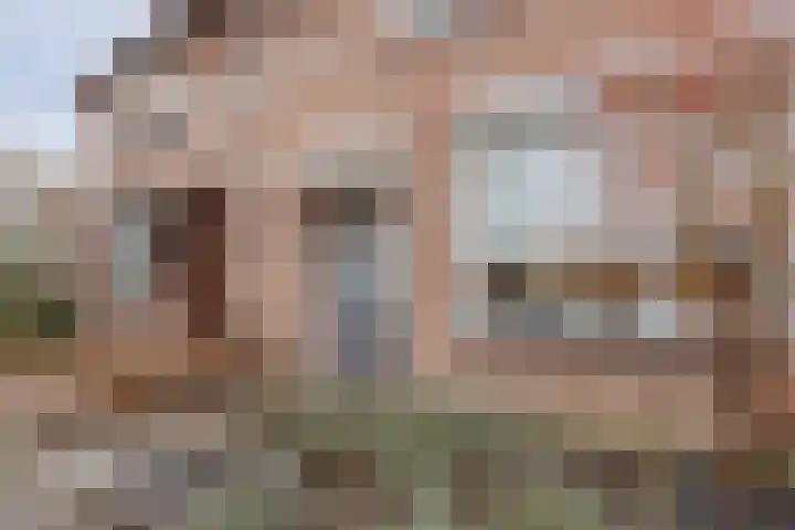 Nieuwstraat 100 Horst thumbnail 9