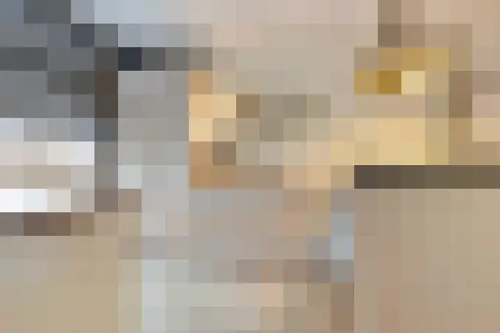 Nieuwstraat 101 Boskoop thumbnail 12