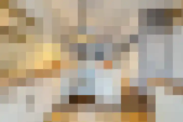 Nieuwstraat 101 Boskoop thumbnail 13