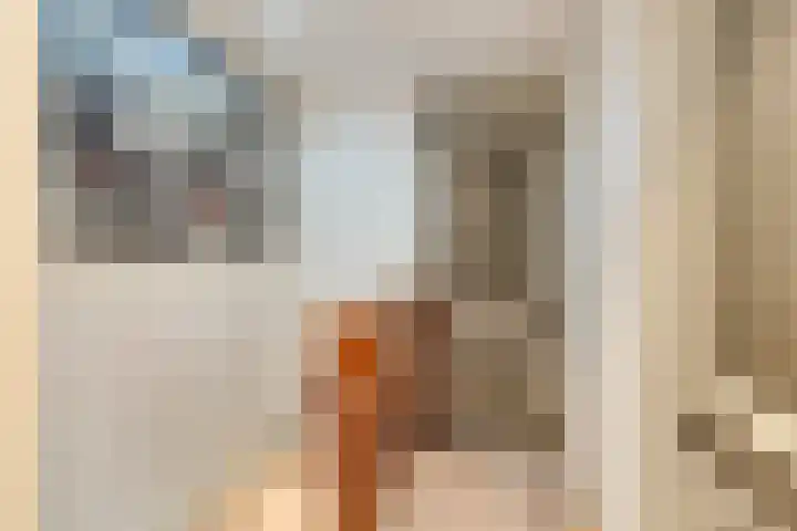 Nieuwstraat 101 Boskoop thumbnail 15