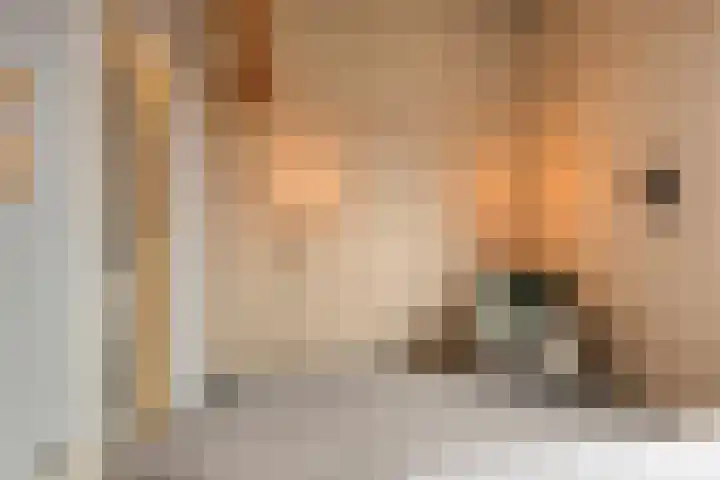 Nieuwstraat 101 Boskoop thumbnail 18