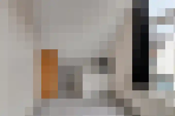 Nieuwstraat 101 Boskoop thumbnail 19
