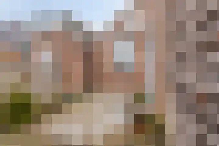 Nieuwstraat 101 Boskoop thumbnail 27