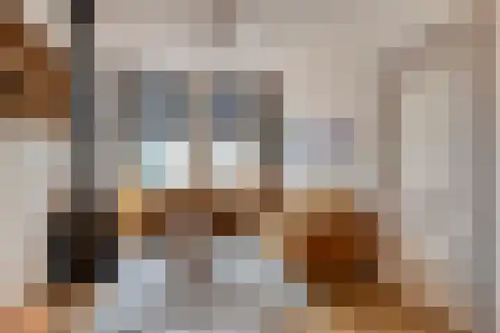 Nieuwstraat 101 Boskoop thumbnail 5