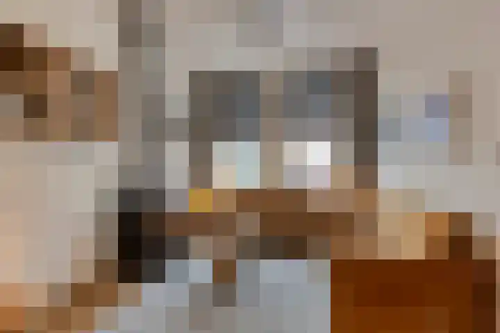 Nieuwstraat 101 Boskoop thumbnail 6