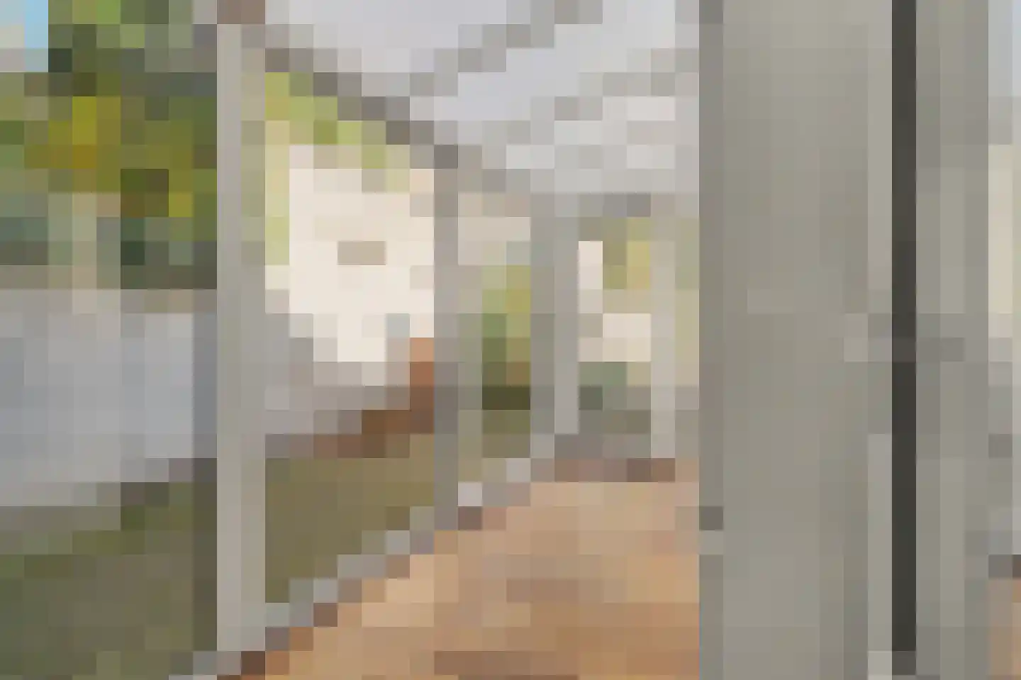 Nieuwstraat 104 Gilze thumbnail 38